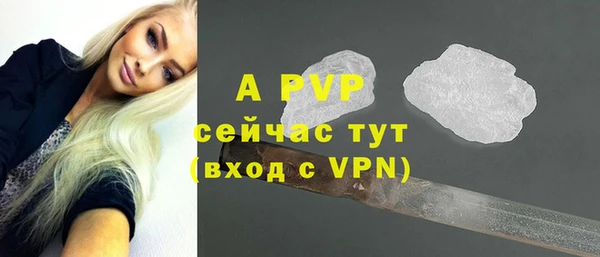стаф Алексин