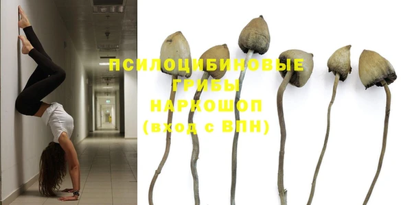 МДПВ Алексеевка