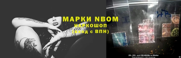 стаф Алексин