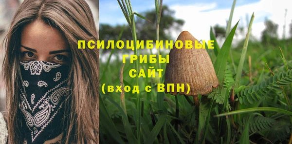 МДПВ Алексеевка